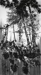 Yehudit Sasportas - The 3 Plus 1