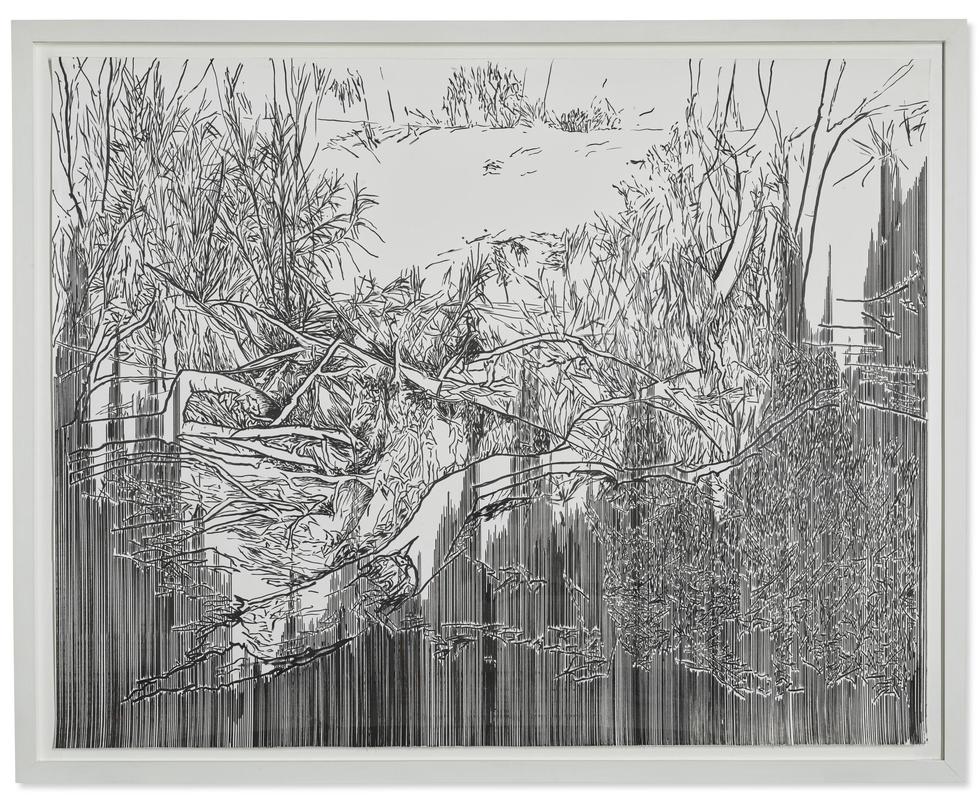 Yehudit Sasportas - Trunks with White Spots