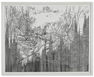 Yehudit Sasportas - Trunks with White Spots