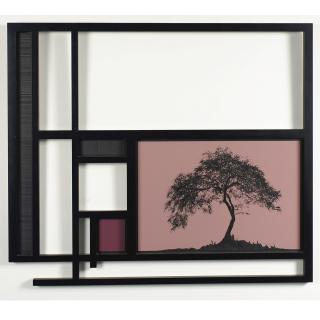 Yehudit Sasportas - Untitled