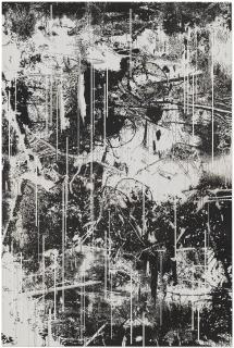 Yehudit Sasportas - Vertical Swamp 5