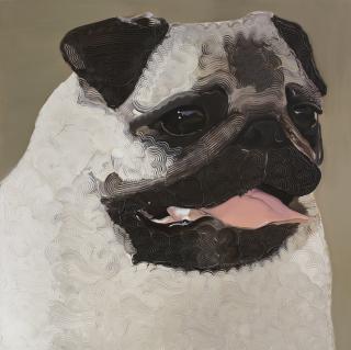 Yin Qi - Chinese Dog