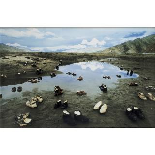 Yin Xiuzhen - Shoes With Butter