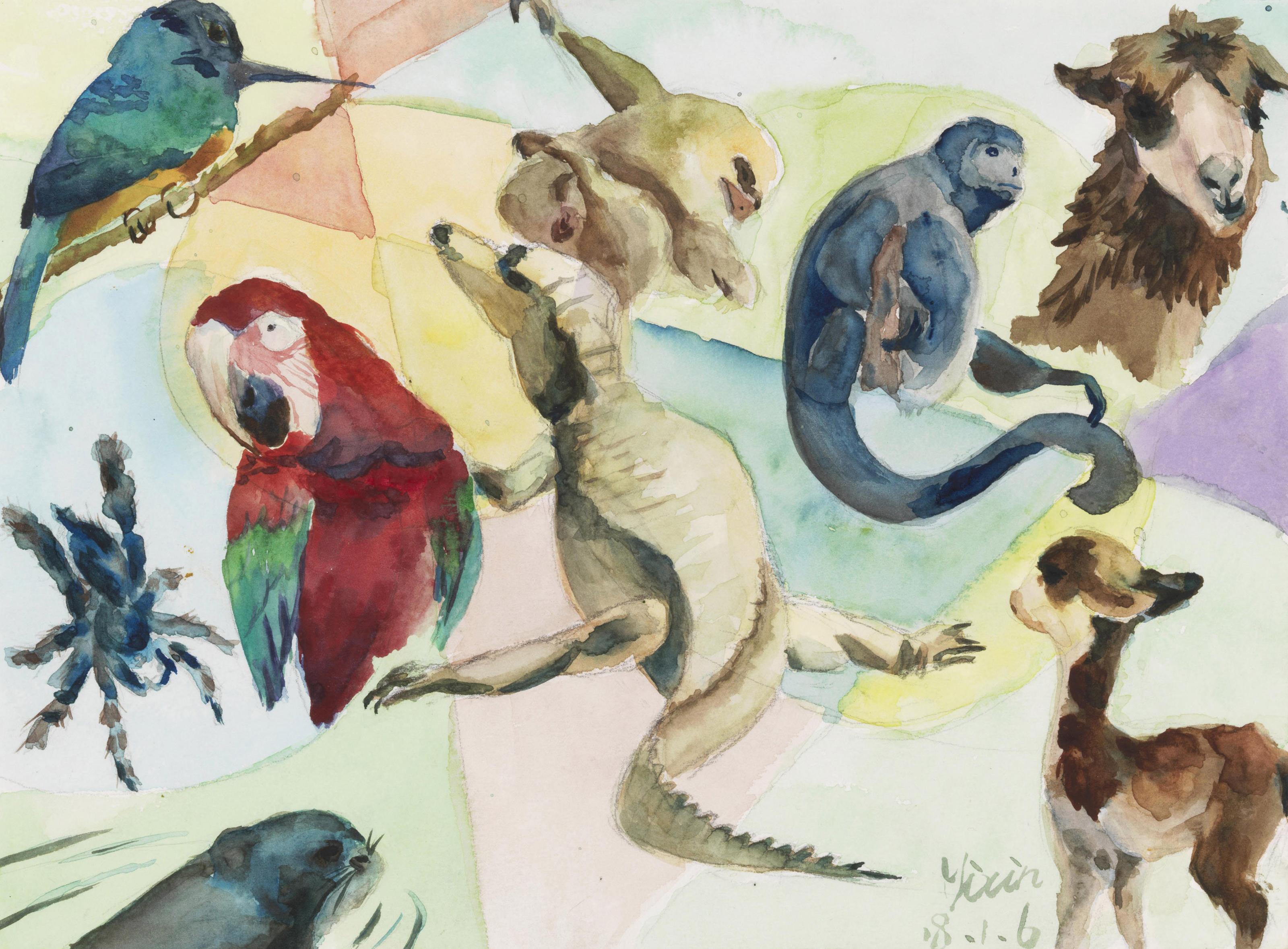 Yixin Wang - Hola Amazon