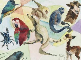 Yixin Wang - Hola Amazon