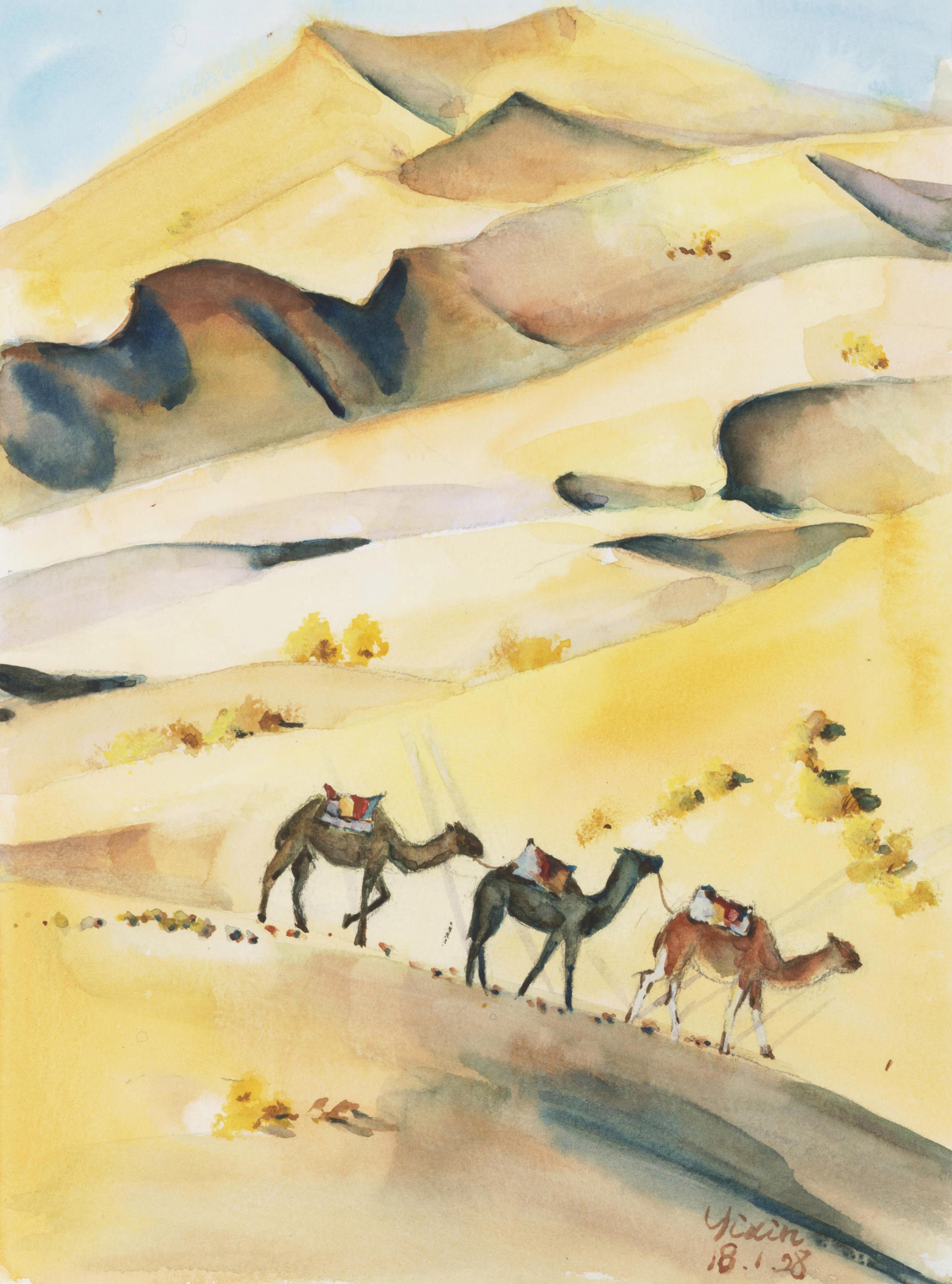 Yixin Wang - Morocco Desert