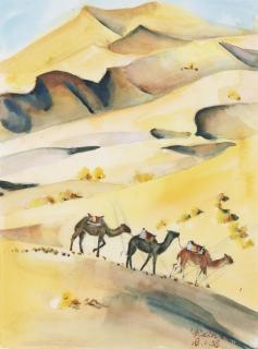 Yixin Wang - Morocco Desert