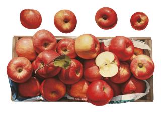 Yoon Byung-Rock - Autumn Fragrance