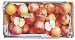 Yoon Byung Rock - Autumn Fragrance