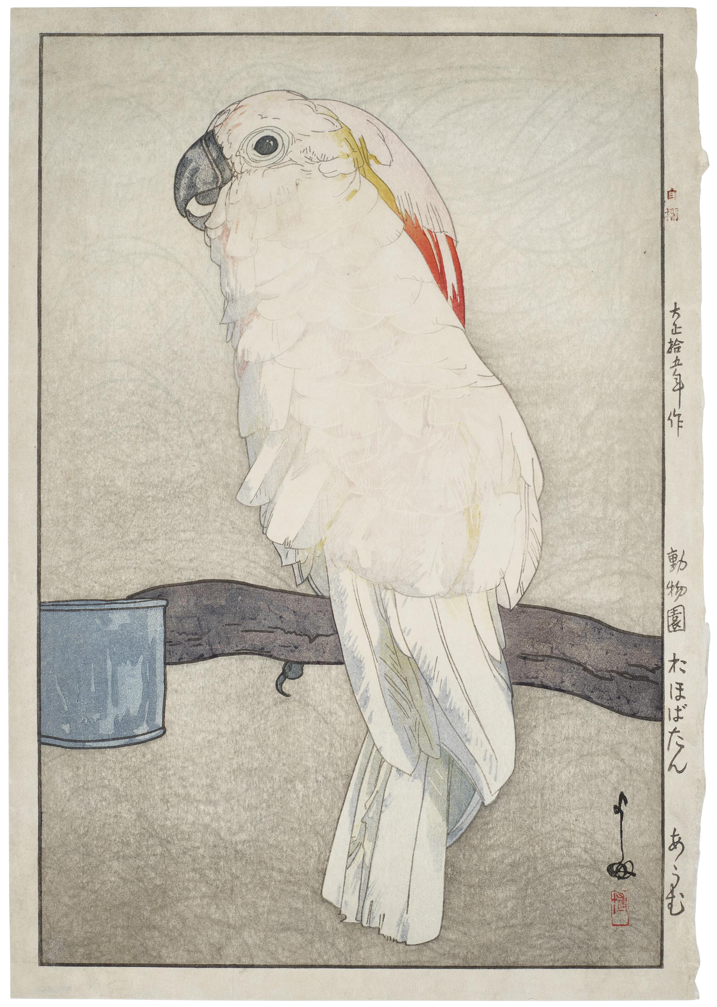 Yoshida Hiroshi - Obatan omu (Obatan parrot)
