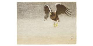 Yoshida Toshi - Flying Up