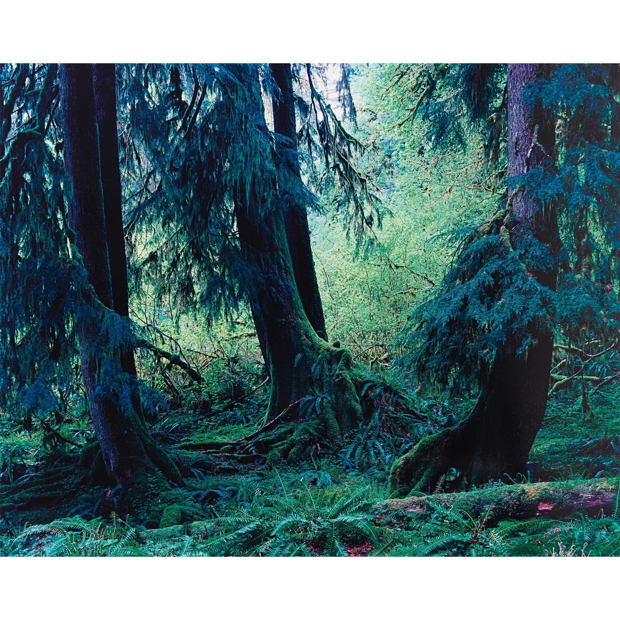 Yoshihiko Ueda - Quinault # 9, 1990 Quinault # 18, 1990