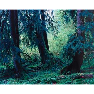 Yoshihiko Ueda - Quinault # 9, 1990 Quinault # 18, 1990