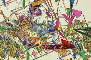 You Jin - Slow-flying Carrier