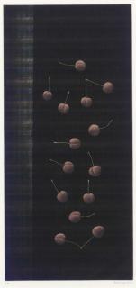 Yozo Hamaguchi - Fourteen Cherries (M. Gall. 106)