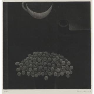 Yozo Hamaguchi - Fruits Of Clover  (M. Gallery 58)