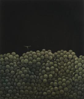 Yozo Hamaguchi - Grapes in Darkness