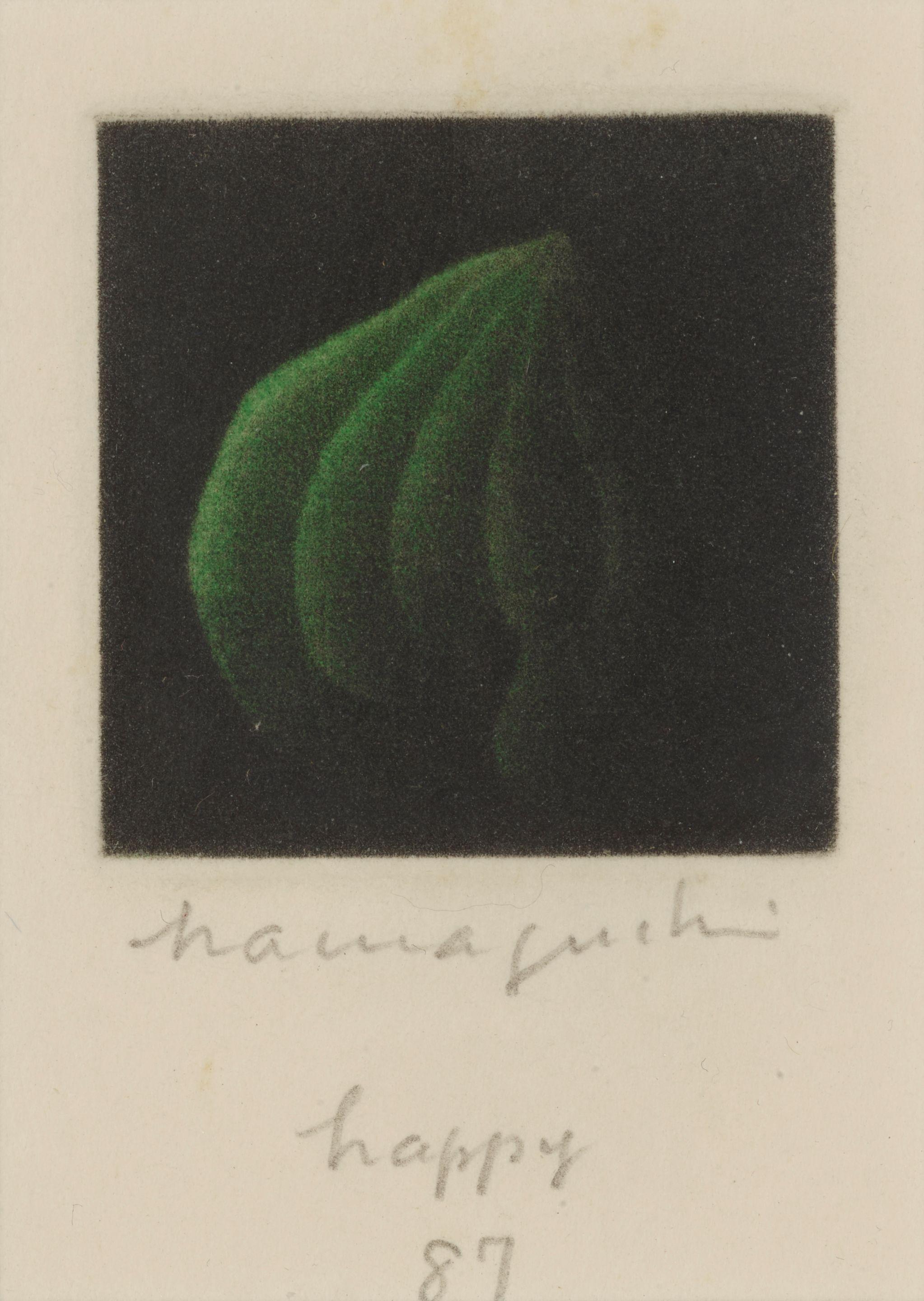 Yozo Hamaguchi - Green Pumpkin (holiday card)