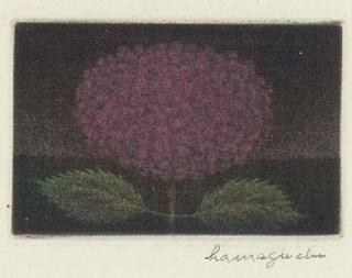 Yozo Hamaguchi - Hydrangea (M. G. 97)