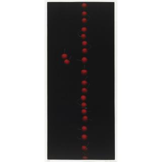 Yozo Hamaguchi - Twenty Two Cherries