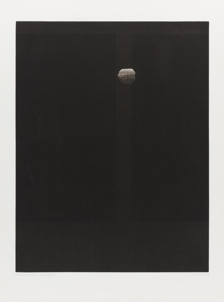 Yozo Hamaguchi - Walnut.