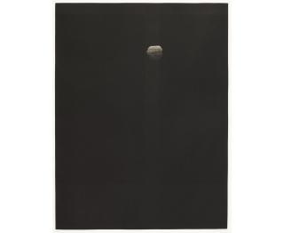 Yozo Hamaguchi - Walnut