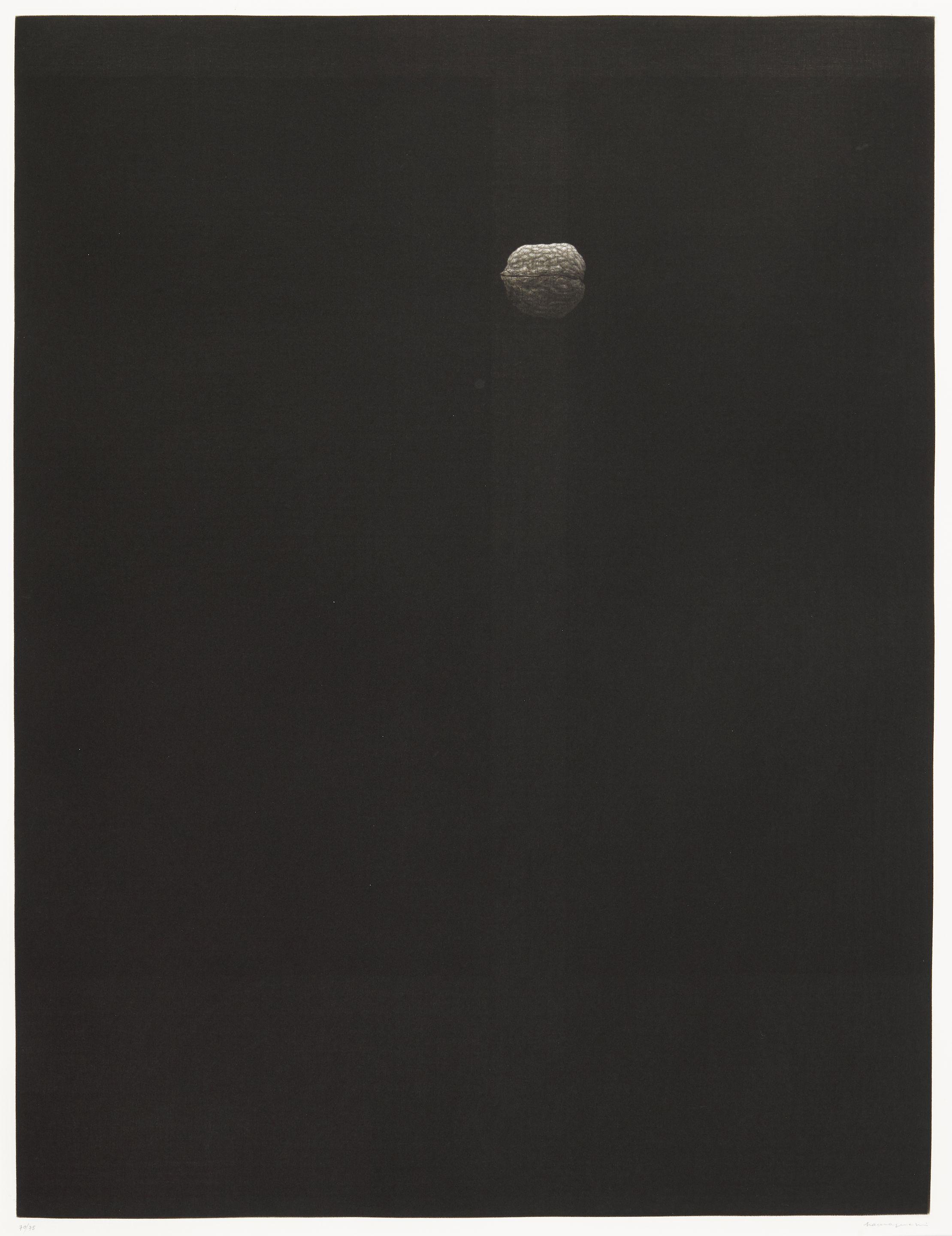 Yozo Hamaguchi - Walnut