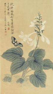 Yu Fei\'An - Butterfly And Plantain Lilies