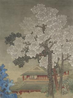 Yu Ming - Studio Under Tung Tree