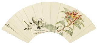 Yuan Jiang - Red Tip Photinia