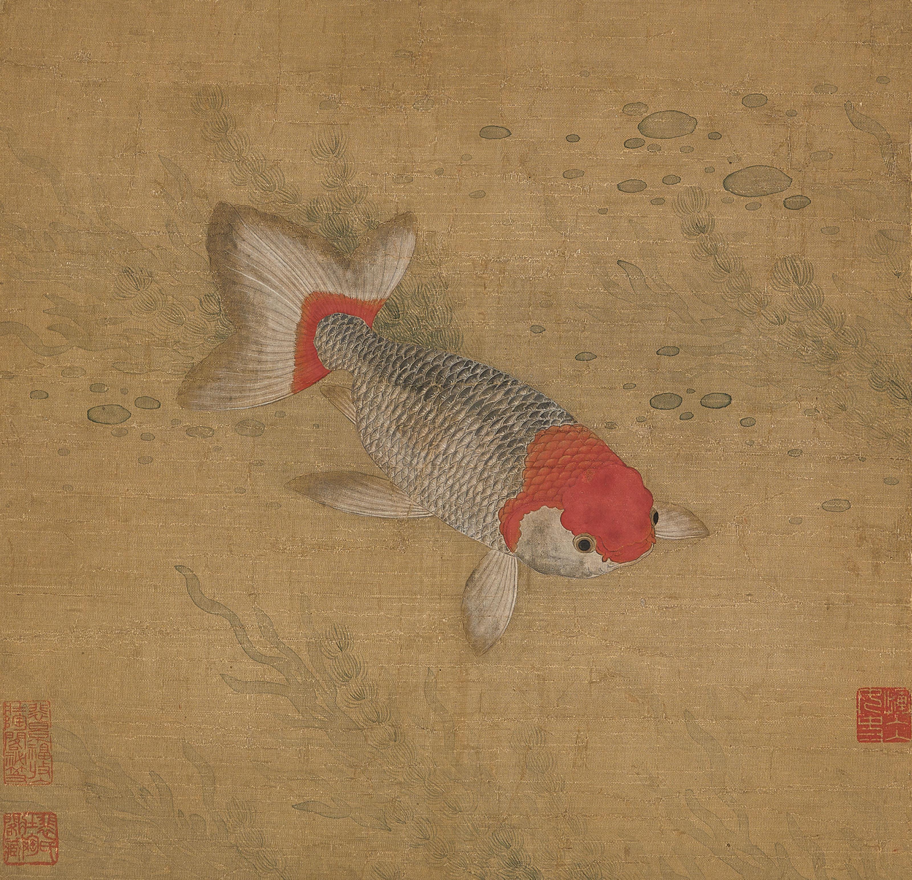 Yun Bing - Carp