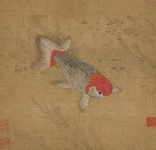 Yun Bing - Carp