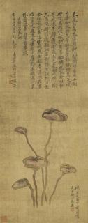 Yun Shouping - Lingzhi