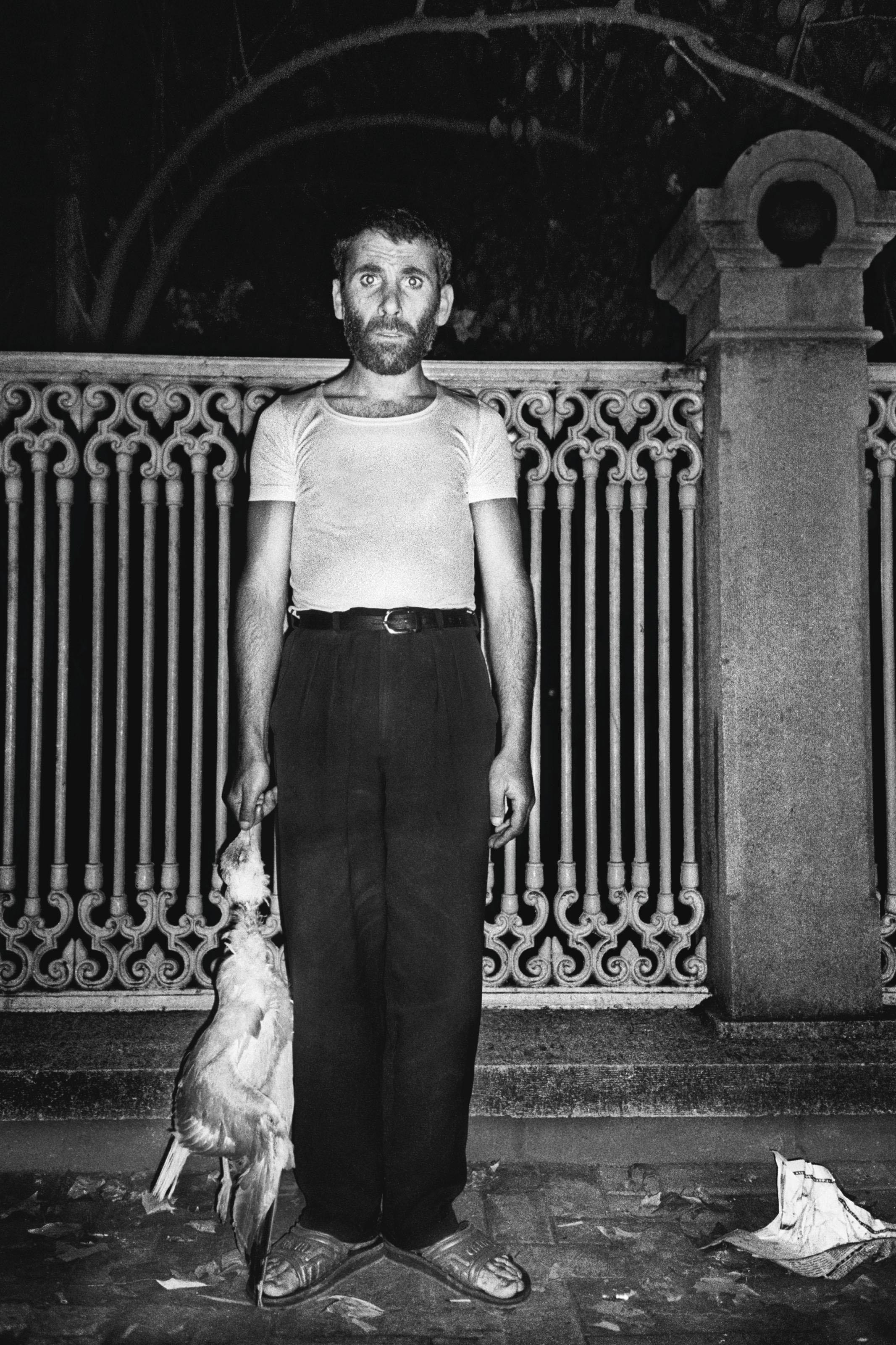 Yusuf Sevincli - Man with a dead seagull, Série Good Dog