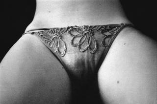 Yusuf Sevincli - Panties with lace 2007, Série Good Dog