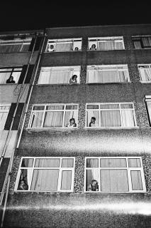 Yusuf Sevincli - People living in a box, Série Good Dog