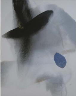 Yutaka Ohashi - Flight #2