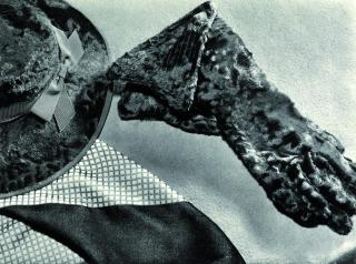 Yva - Hut und Handschuhe aus gepresstem Samt