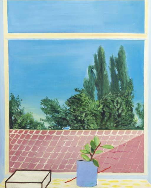 Yvan Theys - View from a window