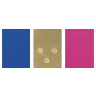 Yves Klein - Monochrome Und Feuer (Trittico)