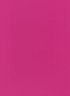 Yves Klein - Monochrome und Feuer