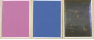 Yves Klein - Monochrome Und Feuer