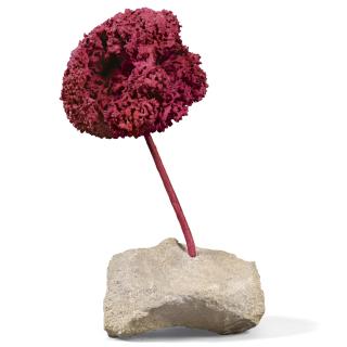 Yves Klein - Se 200, Rosa