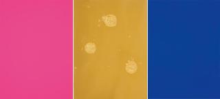 Yves Klein - Triptyque de Krefeld.