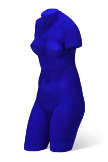 Yves Klein - Vénus Bleue (S 41)