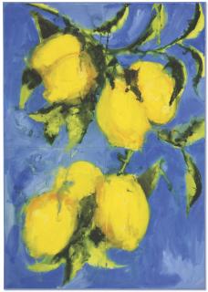 Yves Oppenheim - Citrons