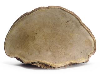 Yves Tanguy - Sans titre