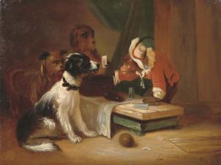 Zacharie Noterman - The Trickster