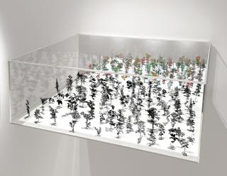 Zadok Ben-David - Dawn