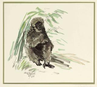 Zainul Abedin - Rangamoti